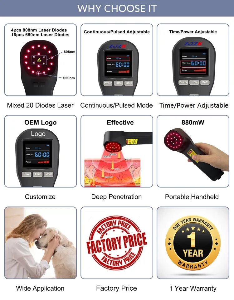 ZJZK 650nm 808nm Portable LLLT Cold Laser Level Therapy Treatment Device for Knee Back Neck Muscle Pain Relief ZJZK 650nm 808nm Portable LLLT Cold Laser Level Therapy Treatment Device for Knee Back Neck Muscle Pain Relief