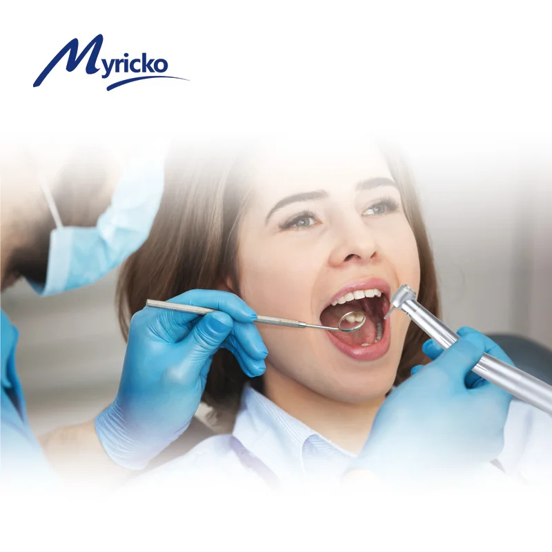 Dental high speed turbine handpiece clinical use high rotation motor dental handpiece accessories high speed straight piece - Image 3
